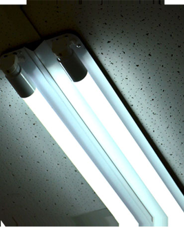 bulb img 1 1